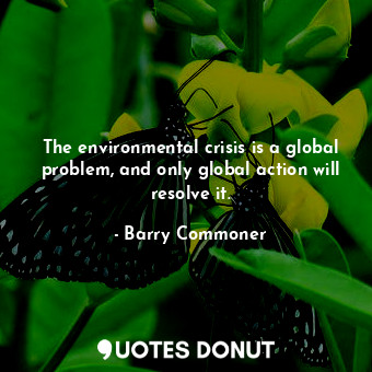 The environmental crisis is a global problem, and only global action will resolve it.