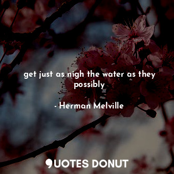  get just as nigh the water as they possibly... - Herman Melville - Quotes Donut