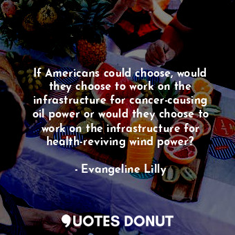  If Americans could choose, would they choose to work on the infrastructure for c... - Evangeline Lilly - Quotes Donut