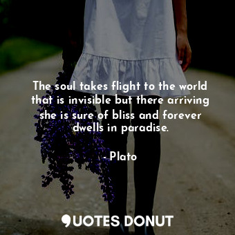  The soul takes flight to the world that is invisible but there arriving she is s... - Plato - Quotes Donut