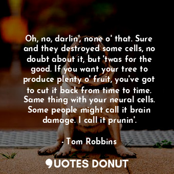 Oh, no, darlin', none o' that. Sure and they destroyed some cells, no doubt about it, but 'twas for the good. If you want your tree to produce plenty o' fruit, you've got to cut it back from time to time. Same thing with your neural cells. Some people might call it brain damage. I call it prunin'.