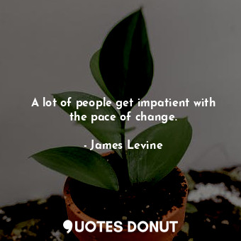 A lot of people get impatient with the pace of change.