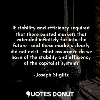 If stability and efficiency required that there existed markets that extended infinitely far into the future - and these markets clearly did not exist - what assurance do we have of the stability and efficiency of the capitalist system?