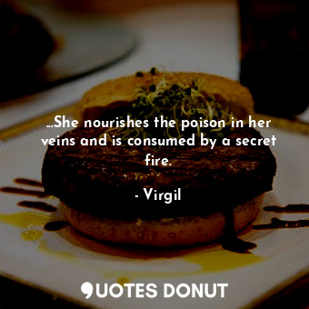  ...She nourishes the poison in her veins and is consumed by a secret fire.... - Virgil - Quotes Donut