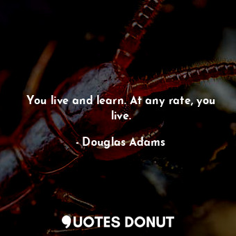  You live and learn. At any rate, you live.... - Douglas Adams - Quotes Donut