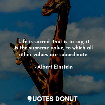 Life is sacred, that is to say, it is the supreme value, to which all other values are subordinate.