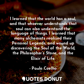 I learned that the world has a soul, and that whoever understands that soul can also understand the language of things. I learned that many alchemists realized their Personal Legends, and wound up discovering the Soul of the World, the Philosopher’s Stone, and the Elixir of Life.