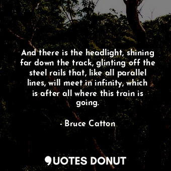 And there is the headlight, shining far down the track, glinting off the steel rails that, like all parallel lines, will meet in infinity, which is after all where this train is going.