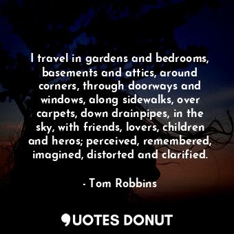 I travel in gardens and bedrooms, basements and attics, around corners, through doorways and windows, along sidewalks, over carpets, down drainpipes, in the sky, with friends, lovers, children and heros; perceived, remembered, imagined, distorted and clarified.