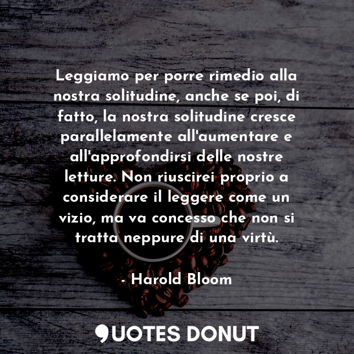 Leggiamo per porre rimedio alla nostra solitudine, anche se poi, di fatto, la nostra solitudine cresce parallelamente all'aumentare e all'approfondirsi delle nostre letture. Non riuscirei proprio a considerare il leggere come un vizio, ma va concesso che non si tratta neppure di una virtù.