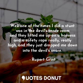  Well one of the times I did a stunt was in the devil&#39;s snare room and they l... - Rupert Grint - Quotes Donut