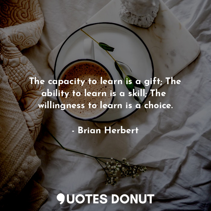 The capacity to learn is a gift; The ability to learn is a skill; The  willingness to learn is a choice.