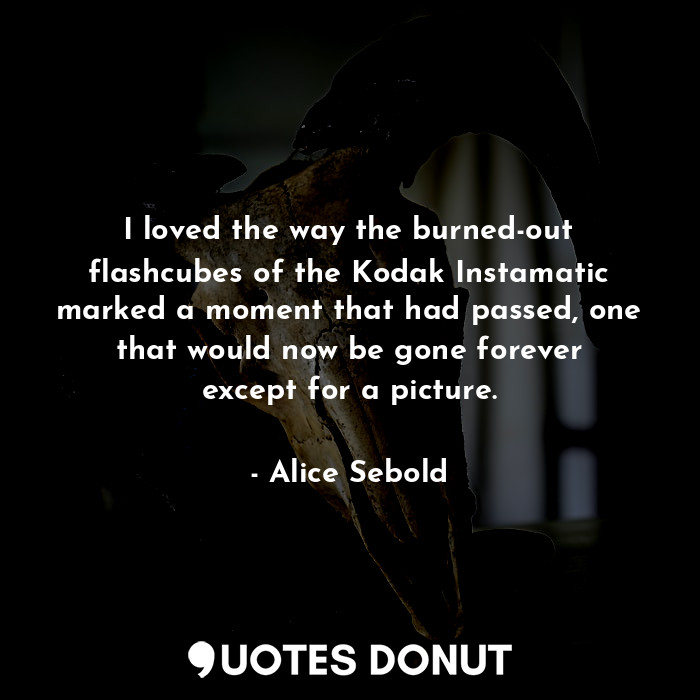  I loved the way the burned-out flashcubes of the Kodak Instamatic marked a momen... - Alice Sebold - Quotes Donut