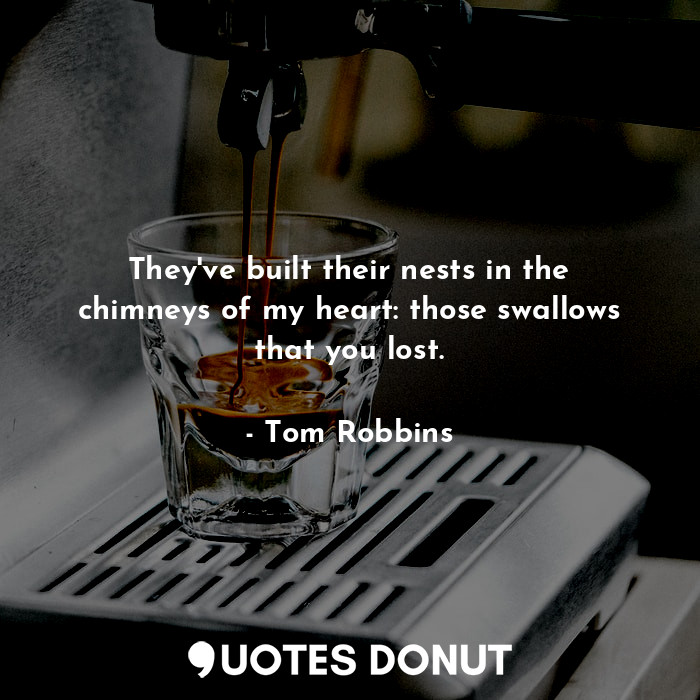  They've built their nests in the chimneys of my heart: those swallows that you l... - Tom Robbins - Quotes Donut