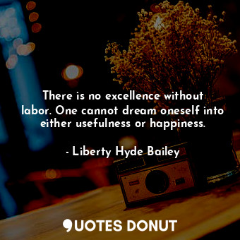 There is no excellence without labor. One cannot dream oneself into either usefulness or happiness.