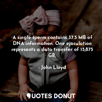  A single sperm contains 37.5 MB of DNA information. One ejaculation represents a... - John Lloyd - Quotes Donut