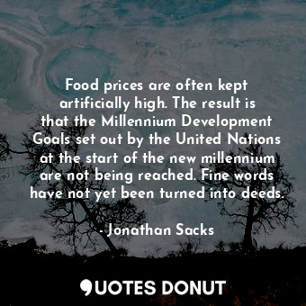Food prices are often kept artificially high. The result is that the Millennium Development Goals set out by the United Nations at the start of the new millennium are not being reached. Fine words have not yet been turned into deeds.