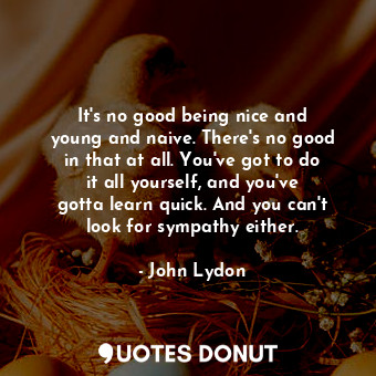  It&#39;s no good being nice and young and naive. There&#39;s no good in that at ... - John Lydon - Quotes Donut