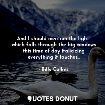  And I should mention the light  which falls through the big windows this time of... - Billy Collins - Quotes Donut