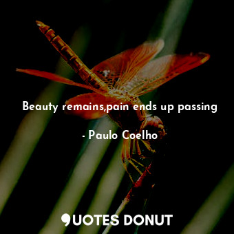 Beauty remains,pain ends up passing