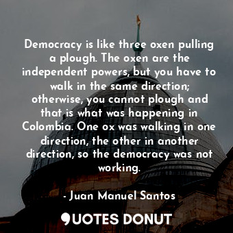 Democracy is like three oxen pulling a plough. The oxen are the independent powers, but you have to walk in the same direction; otherwise, you cannot plough and that is what was happening in Colombia. One ox was walking in one direction, the other in another direction, so the democracy was not working.