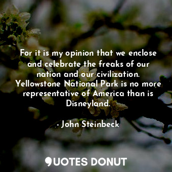 For it is my opinion that we enclose and celebrate the freaks of our nation and our civilization. Yellowstone National Park is no more representative of America than is Disneyland.