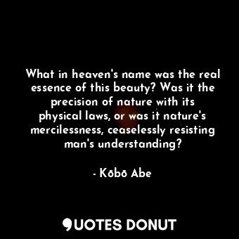 What in heaven's name was the real essence of this beauty? Was it the precision of nature with its physical laws, or was it nature's mercilessness, ceaselessly resisting man's understanding?