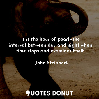 It is the hour of pearl—the interval between day and night when time stops and examines itself.