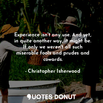 Experience isn't any use. And yet, in quite another way, it might be. If only we weren't all such miserable fools and prudes and cowards.