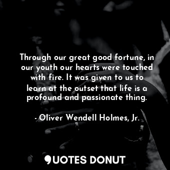 Through our great good fortune, in our youth our hearts were touched with fire. It was given to us to learn at the outset that life is a profound and passionate thing.