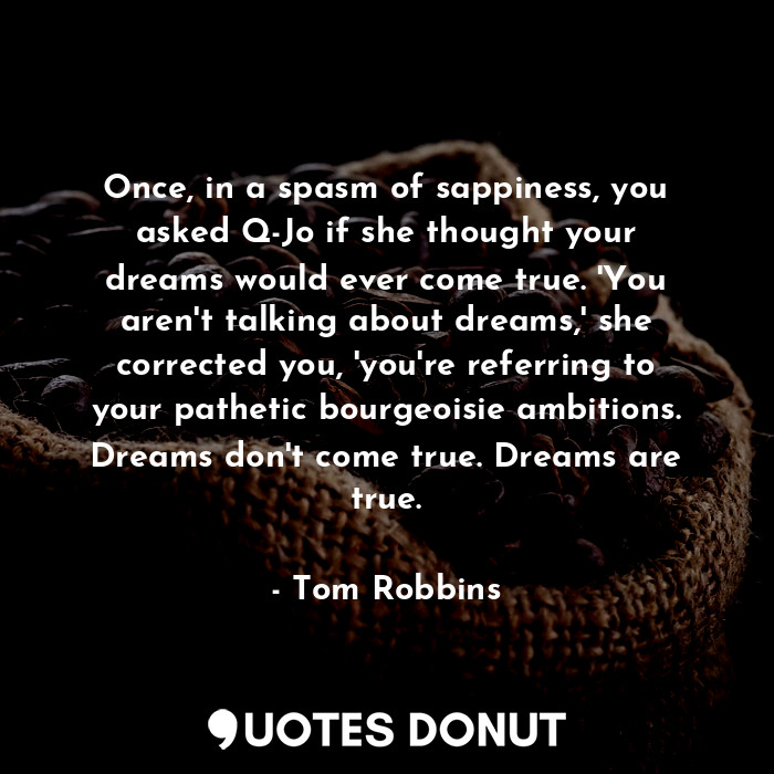 Once, in a spasm of sappiness, you asked Q-Jo if she thought your dreams would ever come true. 'You aren't talking about dreams,' she corrected you, 'you're referring to your pathetic bourgeoisie ambitions. Dreams don't come true. Dreams are true.