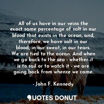 All of us have in our veins the exact same percentage of salt in our blood that exists in the ocean, and, therefore, we have salt in our blood, in our sweat, in our tears. We are tied to the ocean. And when we go back to the sea - whether it is to sail or to watch it - we are going back from whence we came.