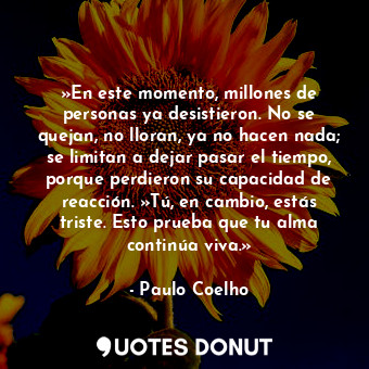 »En este momento, millones de personas ya desistieron. No se quejan, no lloran, ya no hacen nada; se limitan a dejar pasar el tiempo, porque perdieron su capacidad de reacción. »Tú, en cambio, estás triste. Esto prueba que tu alma continúa viva.»