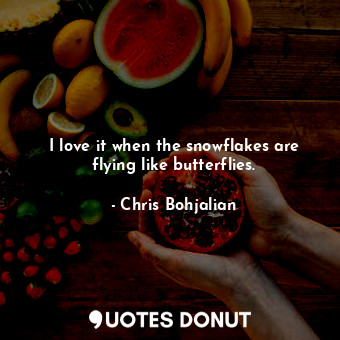  I love it when the snowflakes are flying like butterflies.... - Chris Bohjalian - Quotes Donut