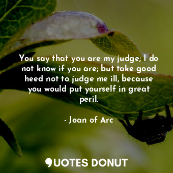 You say that you are my judge; I do not know if you are; but take good heed not to judge me ill, because you would put yourself in great peril.