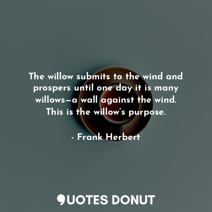 The willow submits to the wind and prospers until one day it is many willows—a wall against the wind. This is the willow’s purpose.