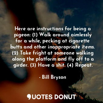 Here are instructions for being a pigeon: (1) Walk around aimlessly for a while, pecking at cigarette butts and other inappropriate items. (2) Take fright at someone walking along the platform and fly off to a girder. (3) Have a shit. (4) Repeat.
