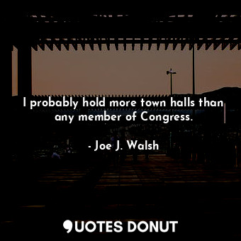 I probably hold more town halls than any member of Congress.