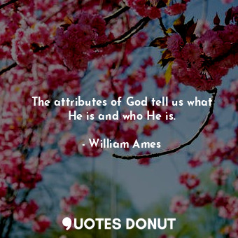  The attributes of God tell us what He is and who He is.... - William Ames - Quotes Donut