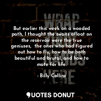  But earlier this week on a wooded path, I thought the swans afloat on the reserv... - Billy Collins - Quotes Donut