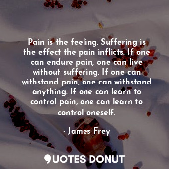  Pain is the feeling. Suffering is the effect the pain inflicts. If one can endur... - James Frey - Quotes Donut