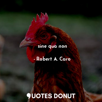  sine qua non... - Robert A. Caro - Quotes Donut
