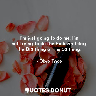 I&#39;m just going to do me; I&#39;m not trying to do the Eminem thing, the D12 thing or the 50 thing.