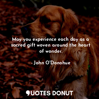  May you experience each day as a sacred gift woven around the heart of wonder.... - John O&#039;Donohue - Quotes Donut