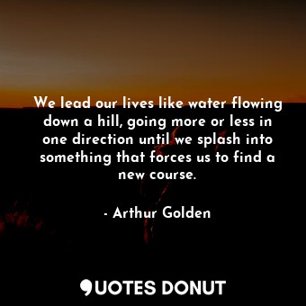 We lead our lives like water flowing down a hill, going more or less in one direction until we splash into something that forces us to find a new course.