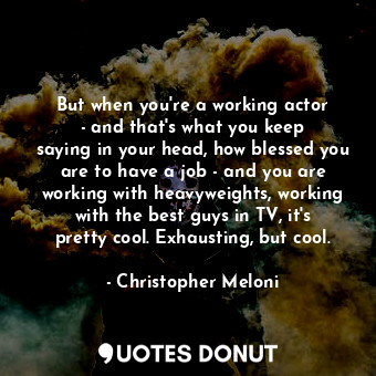  But when you&#39;re a working actor - and that&#39;s what you keep saying in you... - Christopher Meloni - Quotes Donut