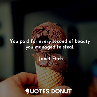  You paid for every second of beauty you managed to steal.... - Janet Fitch - Quotes Donut