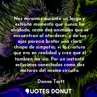  Nos miramos durante un largo y extraño momento que nunca he olvidado, como dos a... - Donna Tartt - Quotes Donut