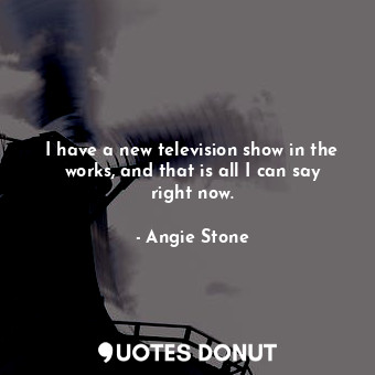  I have a new television show in the works, and that is all I can say right now.... - Angie Stone - Quotes Donut