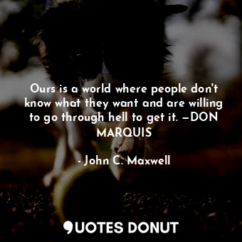 Ours is a world where people don't know what they want and are willing to go thr... - John C. Maxwell - Quotes Donut